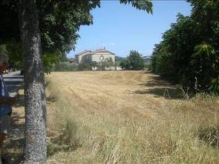 Terreno residenziale in vendita a colli al metauro ,