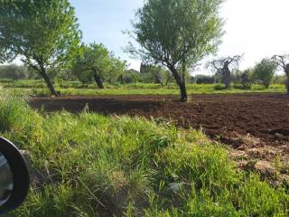 Terreno agricolo in vendita a bari via santa caterina, 151