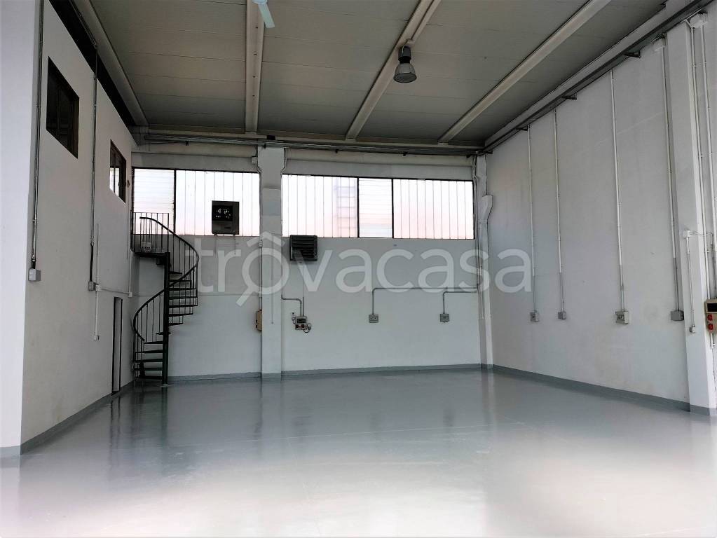 immagine annuncio 3 di 14