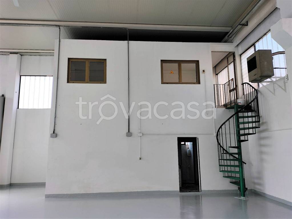 immagine annuncio 4 di 14