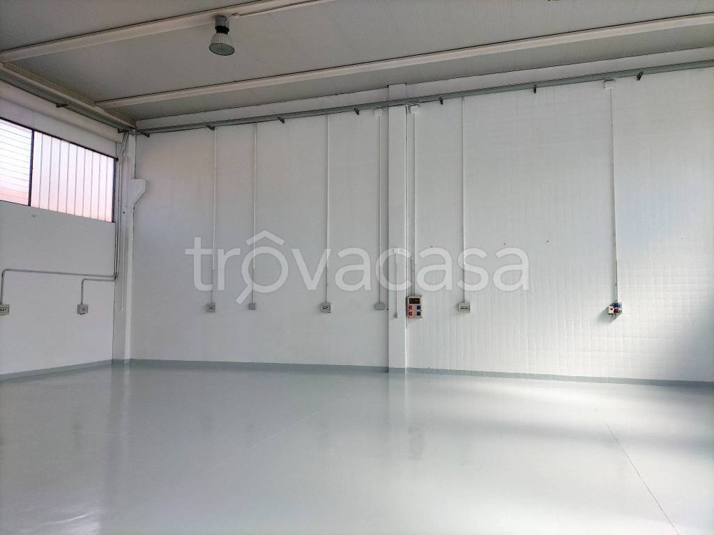 immagine annuncio 6 di 14