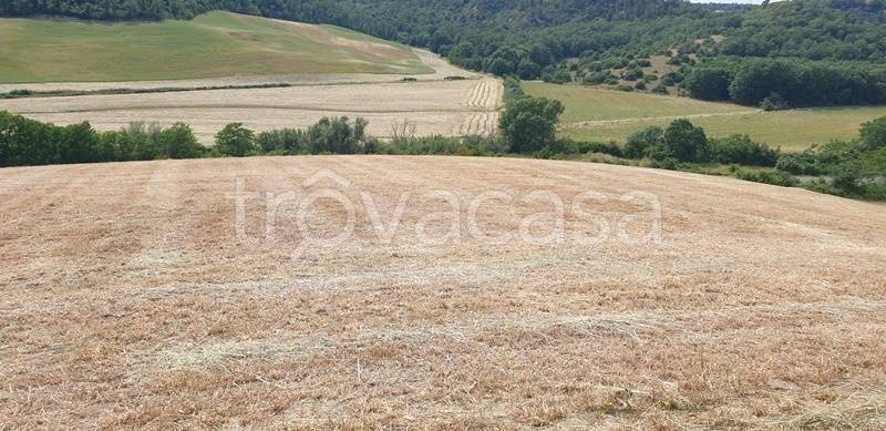 Terreno Agricolo in vendita a Tuscania