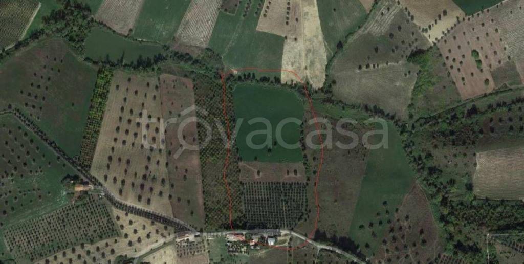 Terreno Agricolo in vendita a Notaresco via Giardino