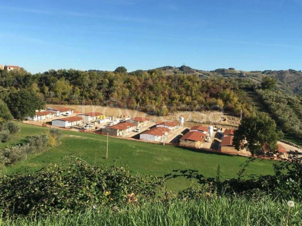 Terreno Residenziale in vendita a Torricella Sicura via p. Profico