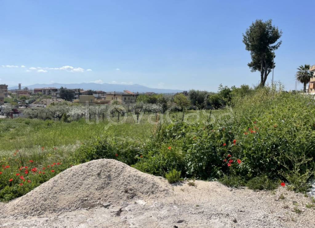 Terreno Agricolo in affitto a Roma via Ortucchio