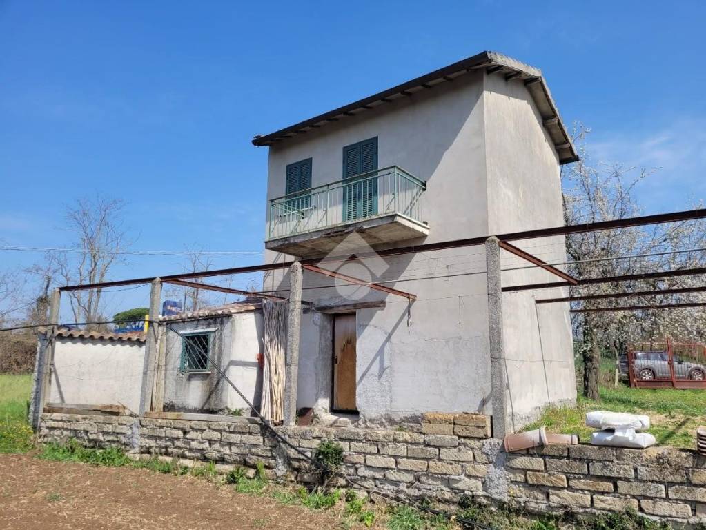 immagine annuncio 6 di 11