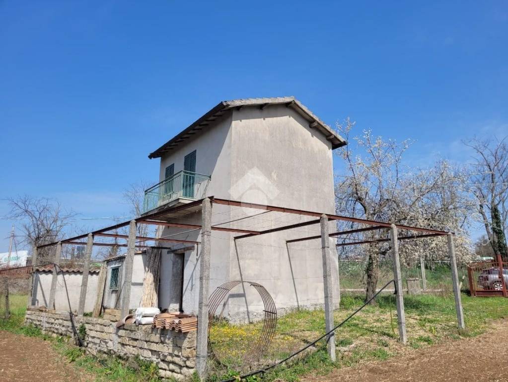 immagine annuncio 9 di 11