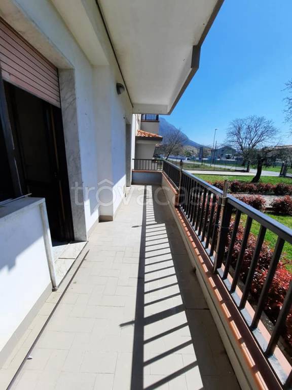 immagine annuncio 12 di 14