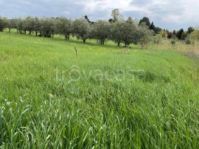 Terreno Agricolo in vendita a Misano Adriatico
