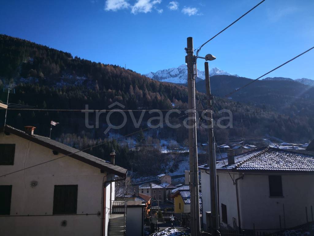 immagine annuncio 3 di 12