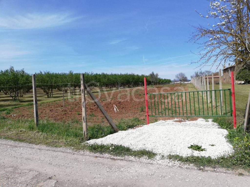 Terreno Agricolo in vendita a Civita Castellana via Flamini