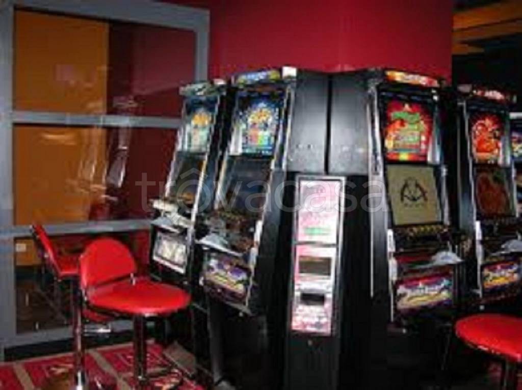 immagine annuncio 2 di 11