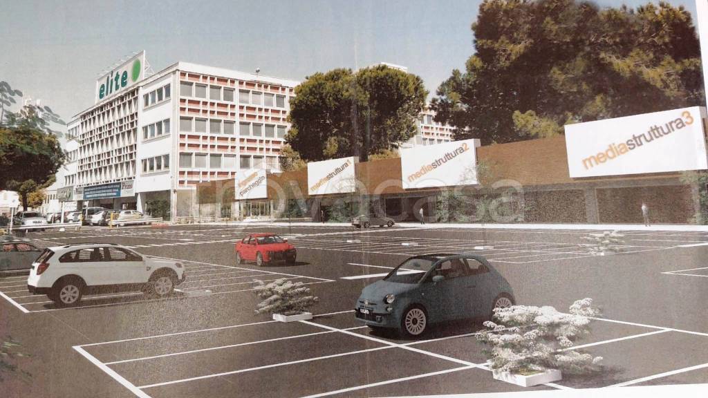 immagine annuncio 3 di 12