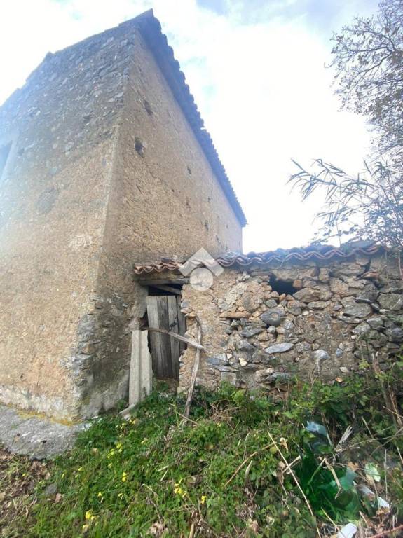 immagine annuncio 3 di 7