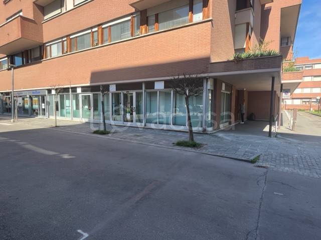 immagine annuncio 4 di 12