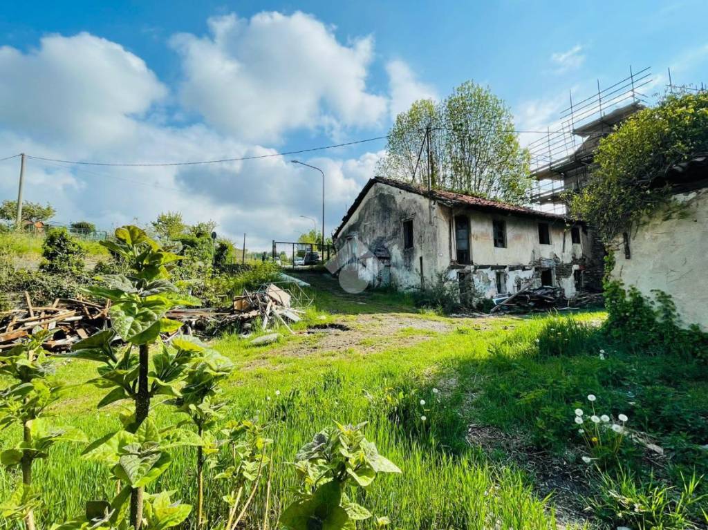 immagine annuncio 4 di 14