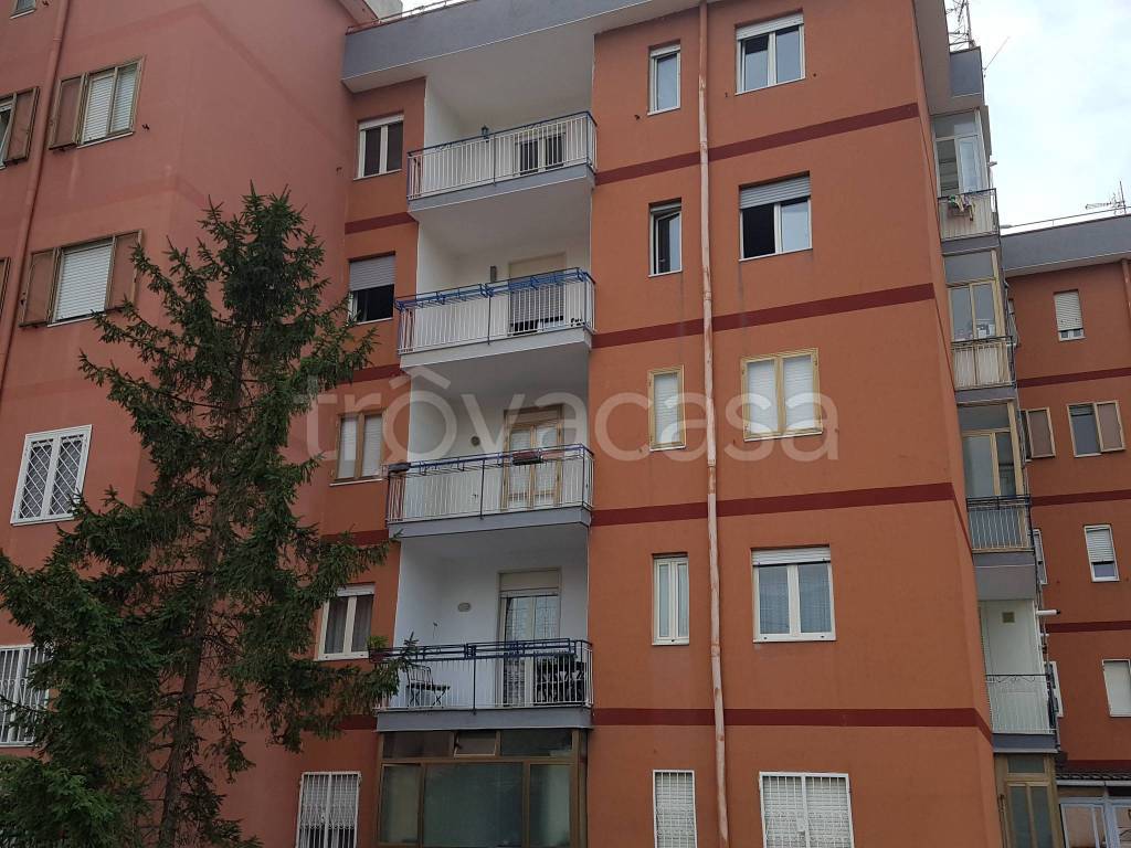 immagine annuncio 1 di 7