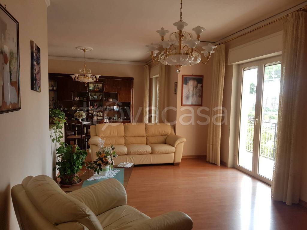 immagine annuncio 6 di 7