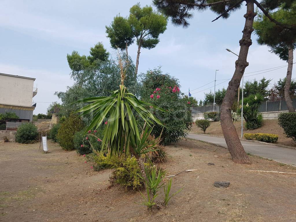 immagine annuncio 4 di 7