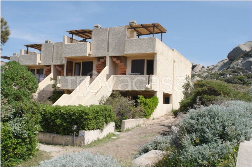 Villa a Schiera in in vendita da privato a Santa Teresa Gallura via delle Costellazioni, 20