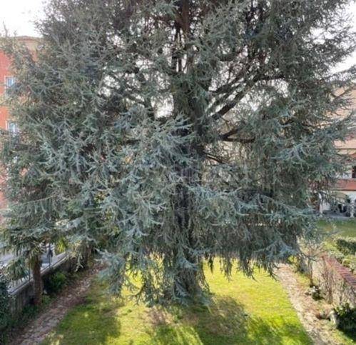 immagine annuncio 7 di 14