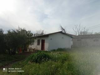 Terreno agricolo in vendita a moscufo contrada san martino