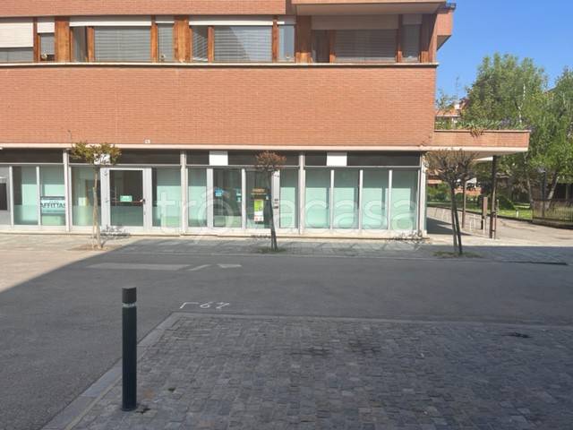 immagine annuncio 3 di 12
