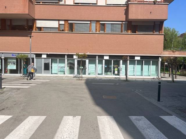 immagine annuncio 6 di 12