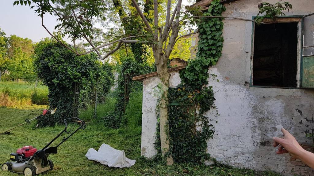 immagine annuncio 12 di 15