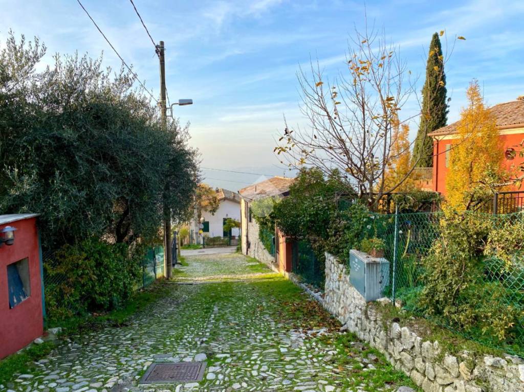 immagine annuncio 10 di 11
