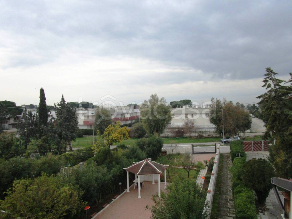 immagine annuncio 11 di 14