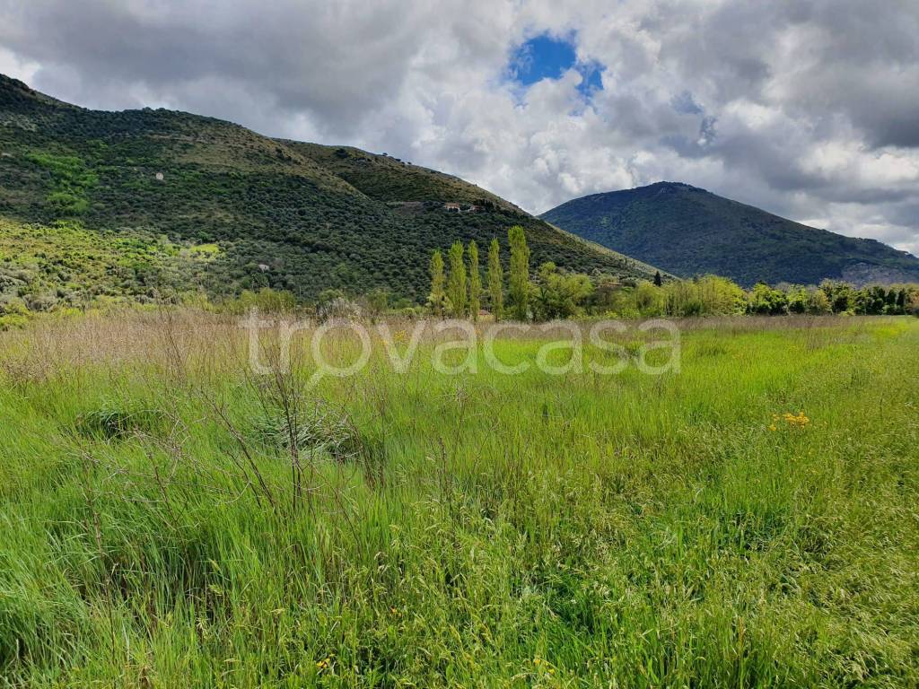 immagine annuncio 4 di 8