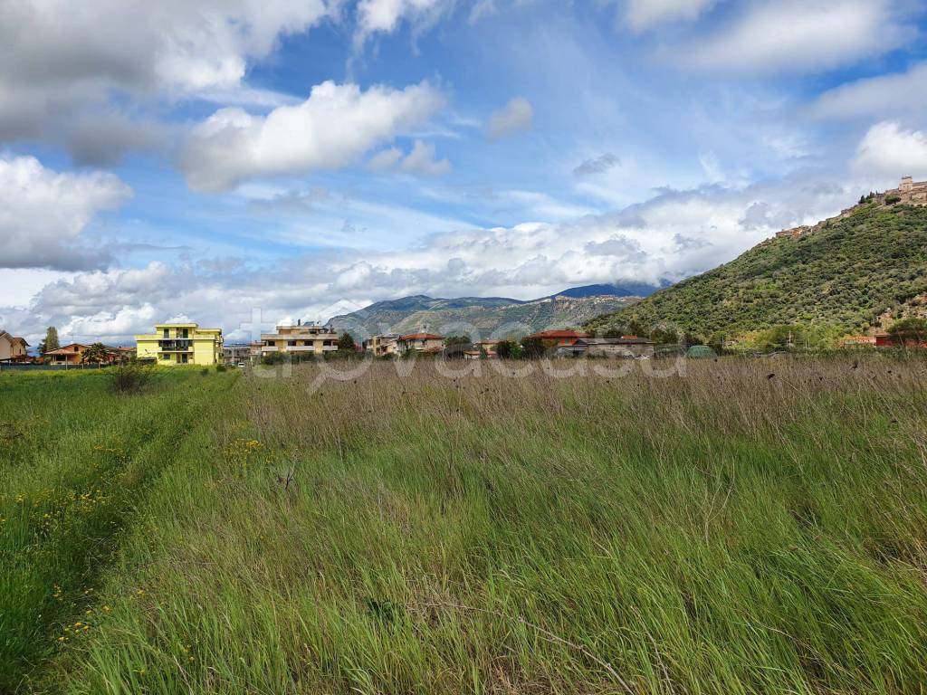 immagine annuncio 5 di 8