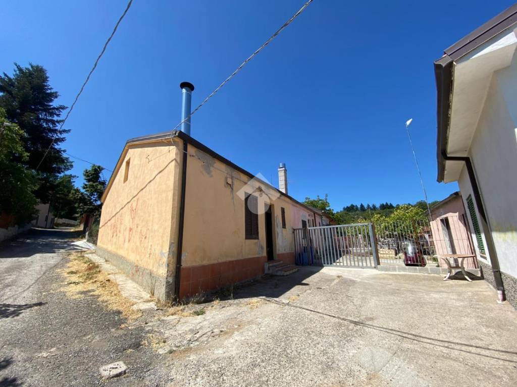 immagine annuncio 5 di 14