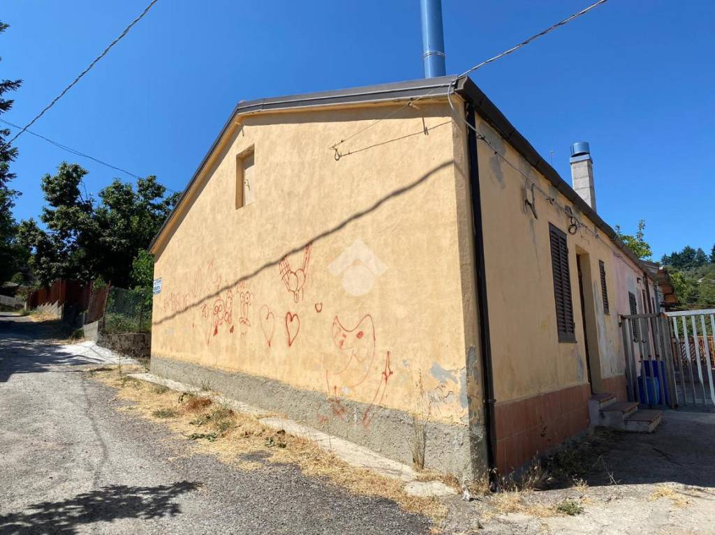 immagine annuncio 4 di 14