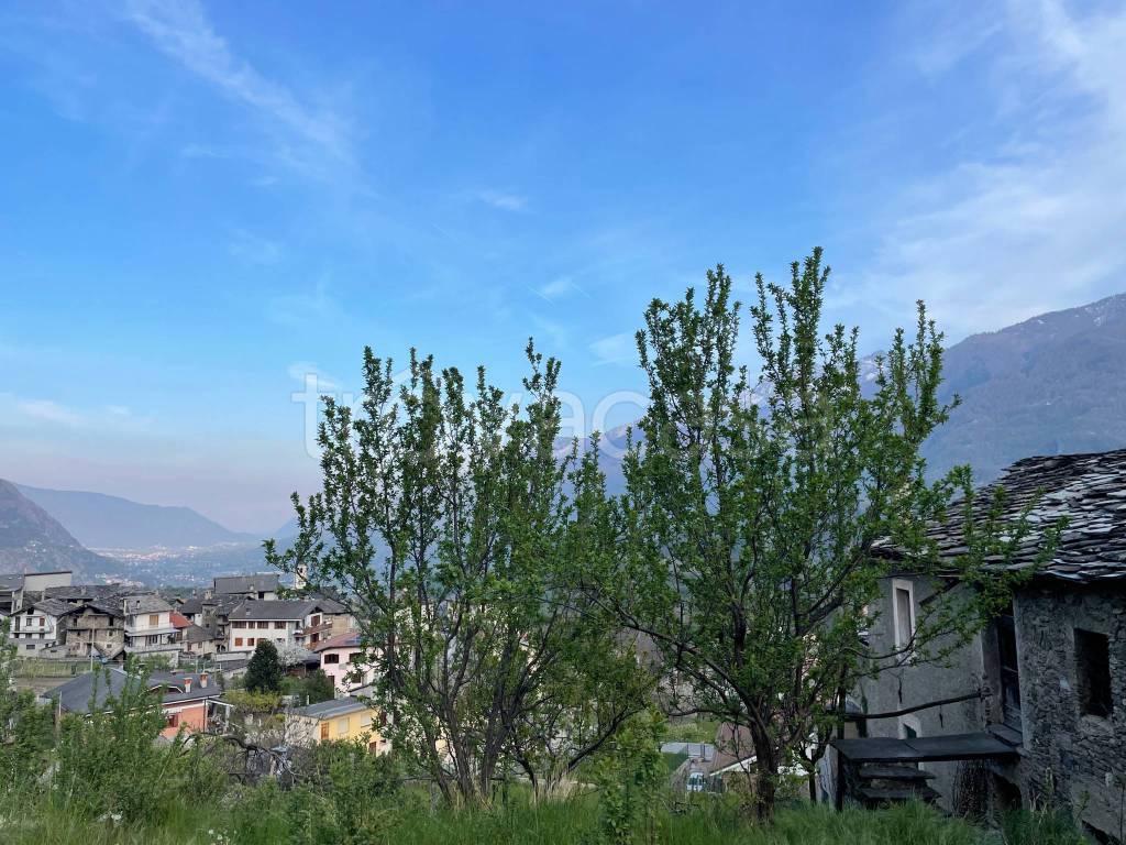 immagine annuncio 3 di 12