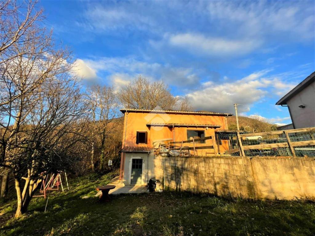 immagine annuncio 11 di 12