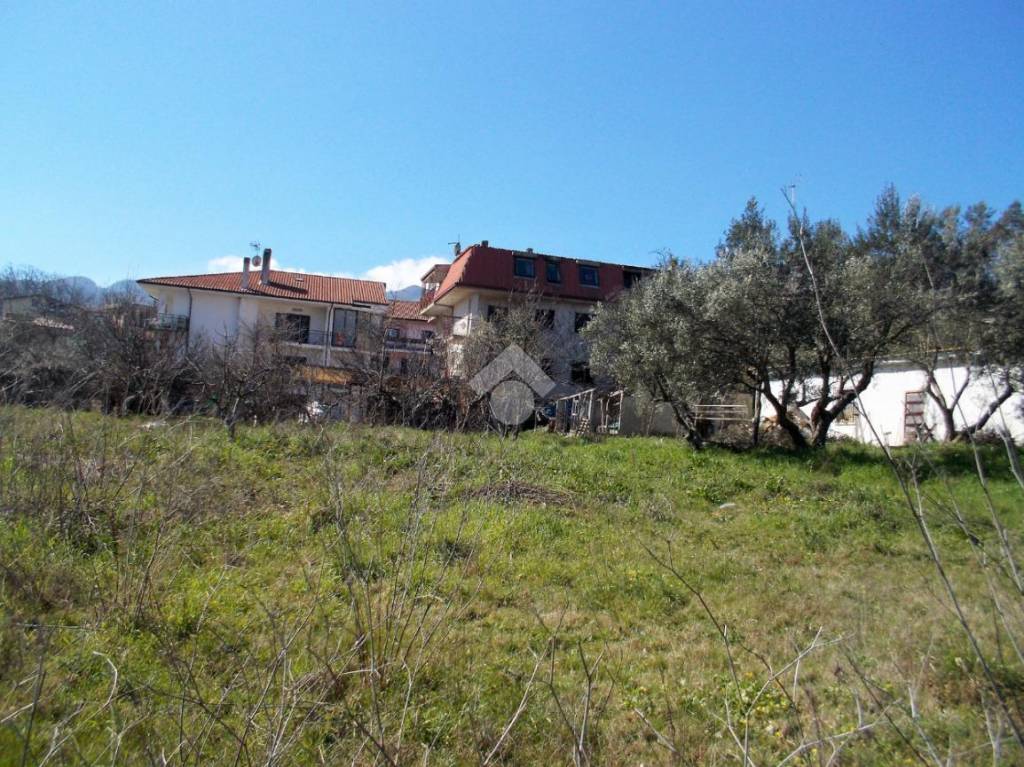 immagine annuncio 6 di 12