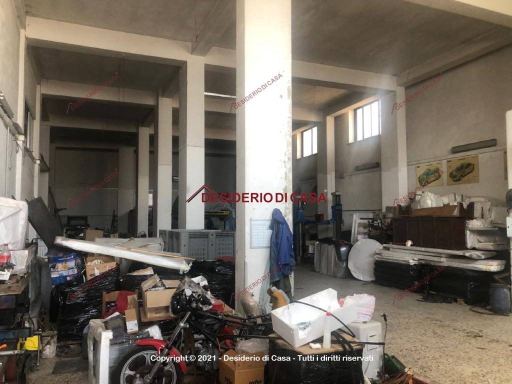 immagine annuncio 1 di 13