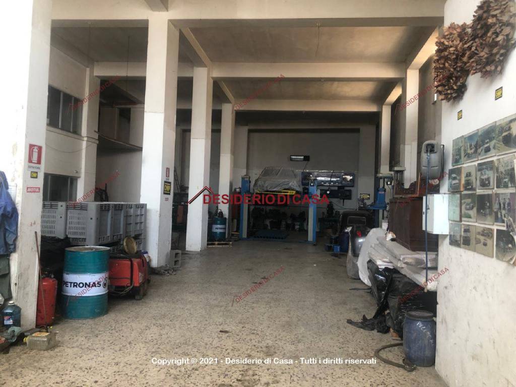 immagine annuncio 2 di 13