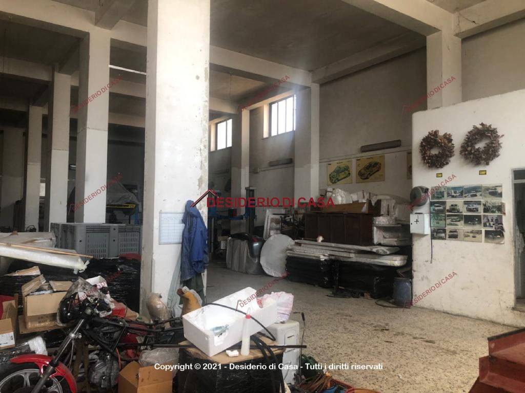 immagine annuncio 3 di 13