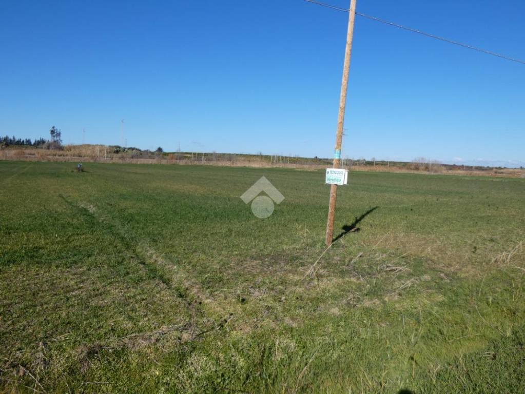 Terreno Agricolo in vendita a Scanzano Jonico terreno agricolo Via Piemonte, 15