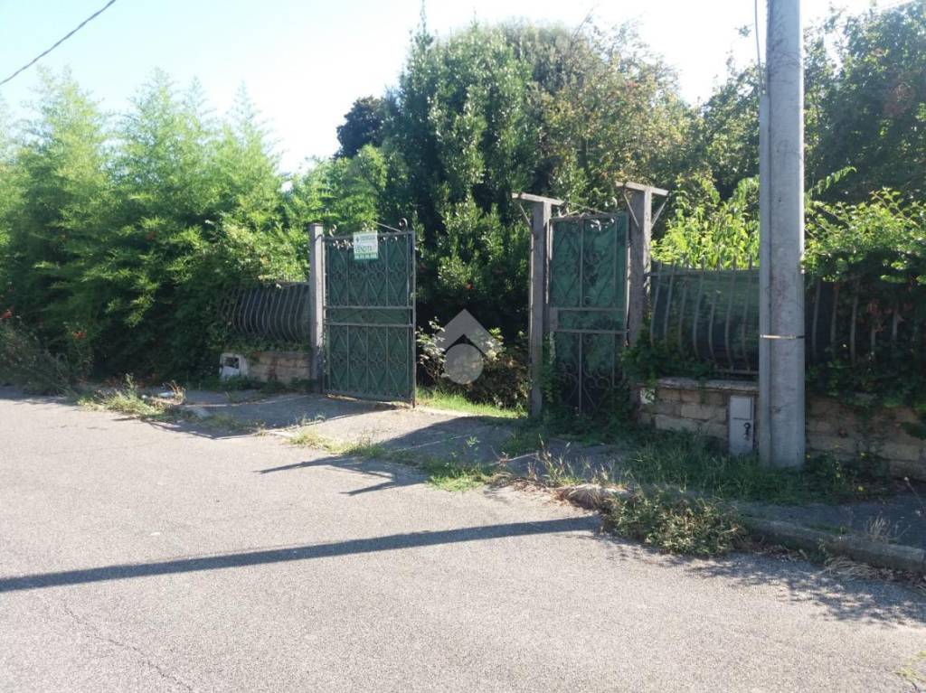 immagine annuncio 2 di 14
