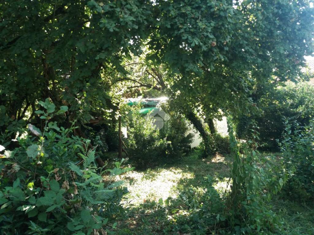 immagine annuncio 4 di 14