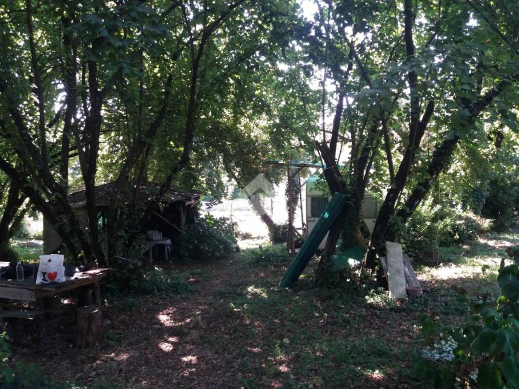 immagine annuncio 5 di 14