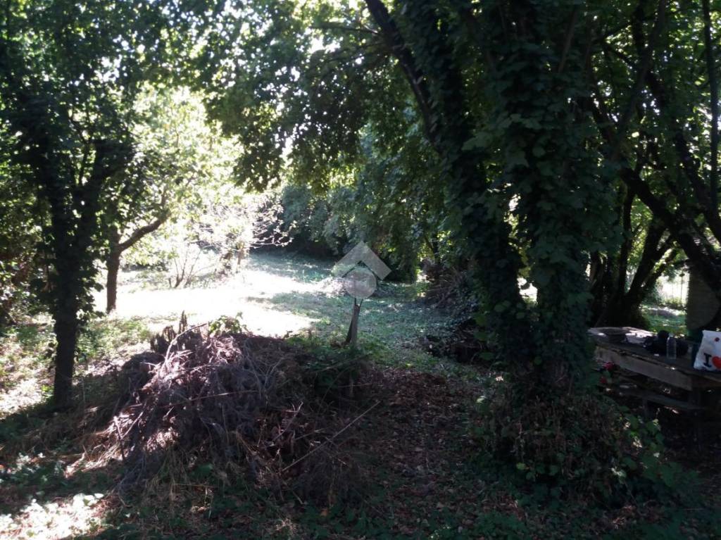 immagine annuncio 6 di 14