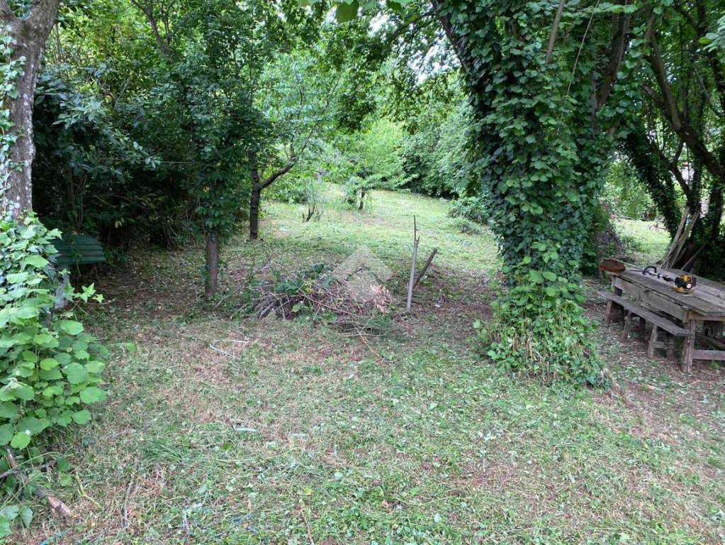 immagine annuncio 7 di 14