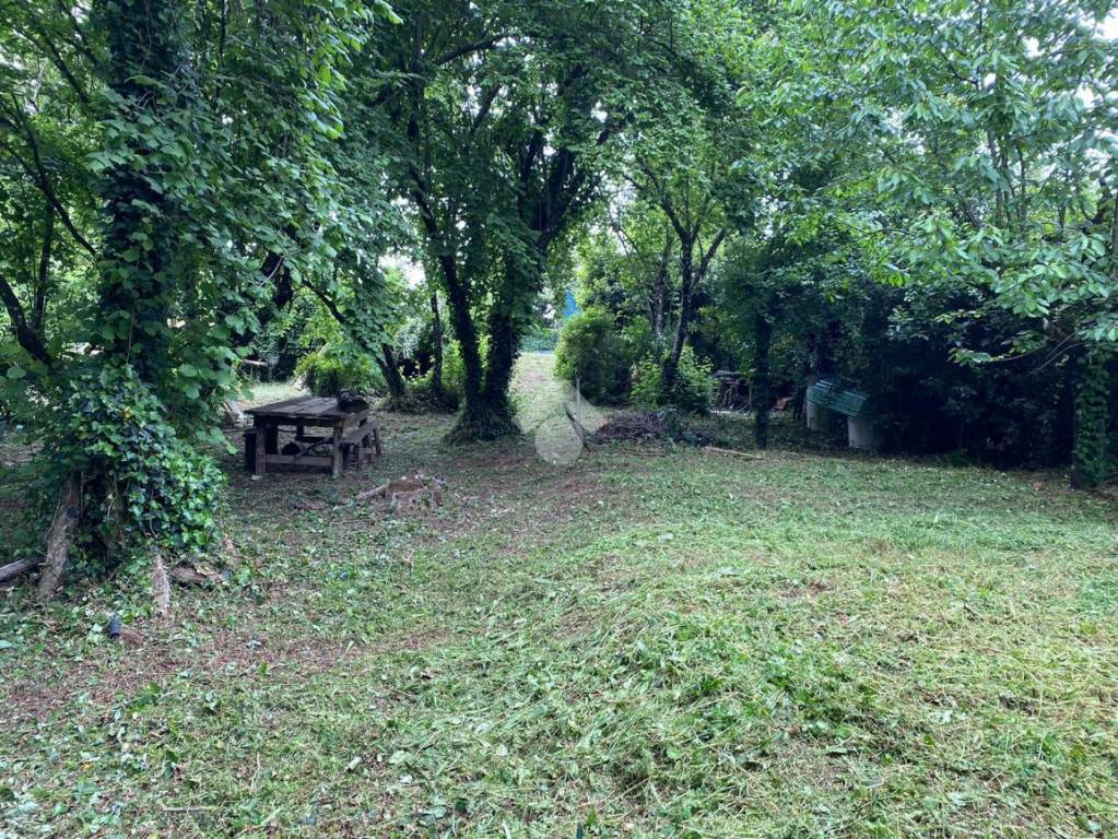 immagine annuncio 2 di 14