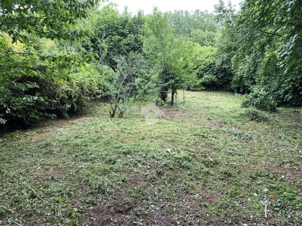 immagine annuncio 9 di 14