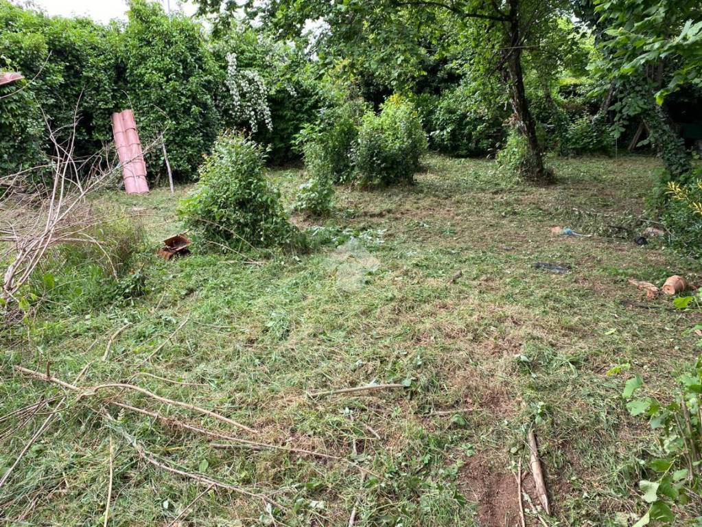 immagine annuncio 10 di 14